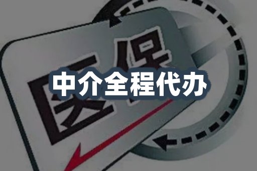 中介全程代办